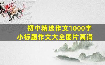 初中精选作文1000字小标题作文大全图片高清