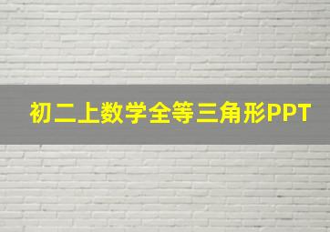 初二上数学全等三角形PPT