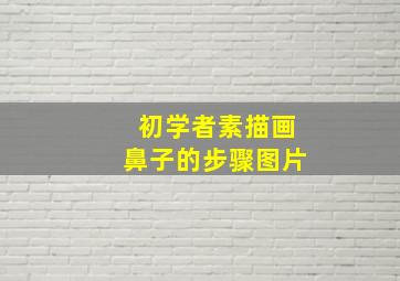 初学者素描画鼻子的步骤图片