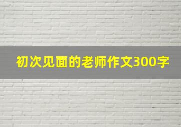 初次见面的老师作文300字