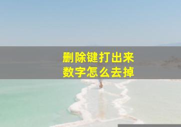 删除键打出来数字怎么去掉