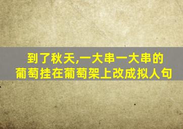 到了秋天,一大串一大串的葡萄挂在葡萄架上改成拟人句