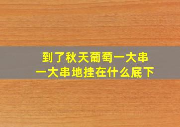 到了秋天葡萄一大串一大串地挂在什么底下