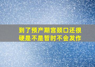 到了预产期宫颈口还很硬是不是暂时不会发作