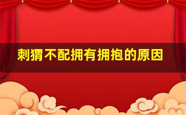 刺猬不配拥有拥抱的原因