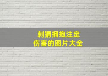 刺猬拥抱注定伤害的图片大全