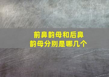 前鼻韵母和后鼻韵母分别是哪几个