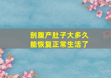 剖腹产肚子大多久能恢复正常生活了