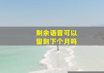 剩余语音可以留到下个月吗