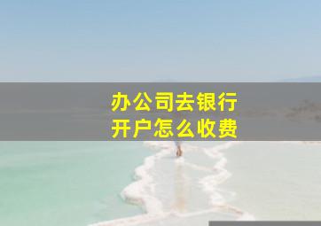 办公司去银行开户怎么收费