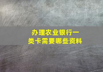 办理农业银行一类卡需要哪些资料