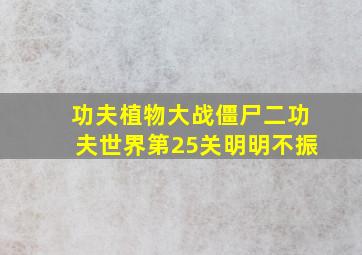 功夫植物大战僵尸二功夫世界第25关明明不振