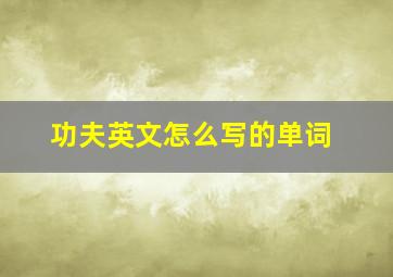 功夫英文怎么写的单词