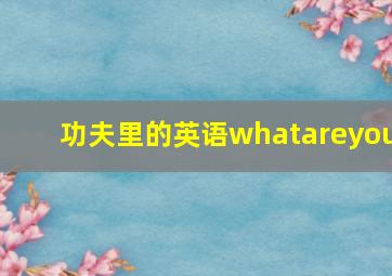 功夫里的英语whatareyou