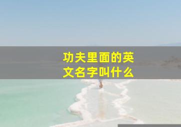 功夫里面的英文名字叫什么