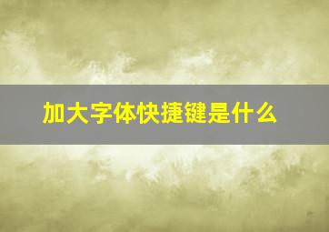 加大字体快捷键是什么