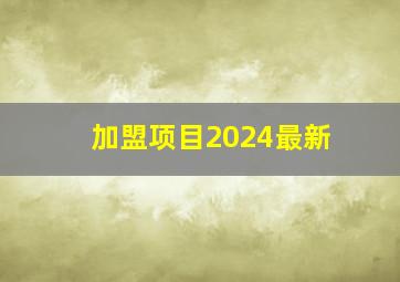 加盟项目2024最新