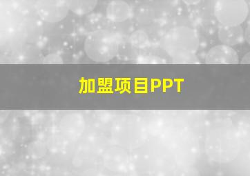 加盟项目PPT