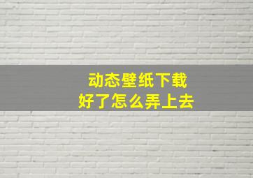 动态壁纸下载好了怎么弄上去