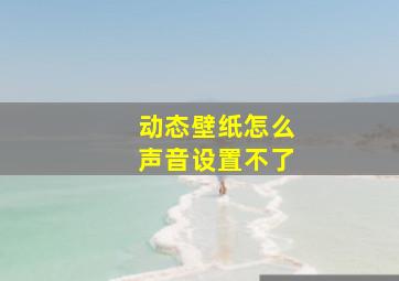 动态壁纸怎么声音设置不了