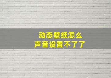 动态壁纸怎么声音设置不了了