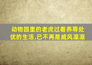 动物园里的老虎过着养尊处优的生活,已不再是威风凛凛