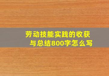 劳动技能实践的收获与总结800字怎么写