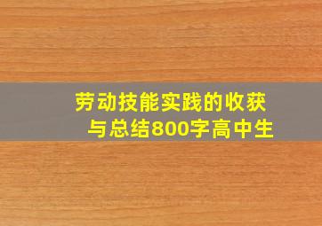 劳动技能实践的收获与总结800字高中生