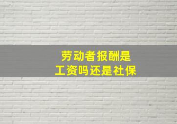 劳动者报酬是工资吗还是社保