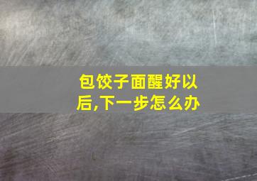 包饺子面醒好以后,下一步怎么办