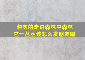 匆匆的走进森林中森林它一丛丛该怎么发朋友圈