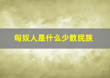 匈奴人是什么少数民族