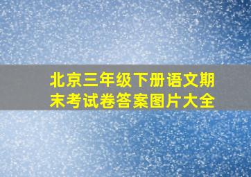 北京三年级下册语文期末考试卷答案图片大全