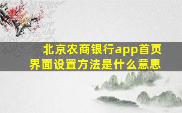 北京农商银行app首页界面设置方法是什么意思