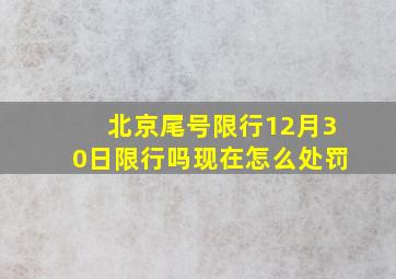 北京尾号限行12月30日限行吗现在怎么处罚