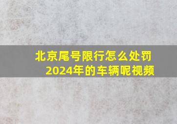 北京尾号限行怎么处罚2024年的车辆呢视频