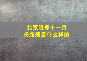 北京限号十一月份新规是什么样的