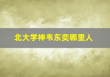 北大学神韦东奕哪里人