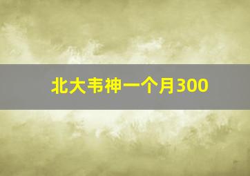 北大韦神一个月300