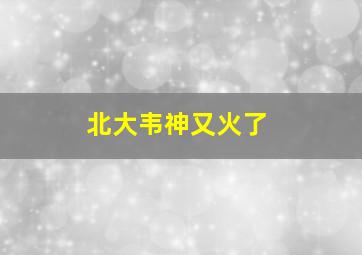 北大韦神又火了