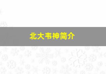 北大韦神简介