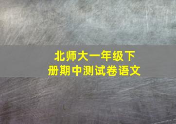 北师大一年级下册期中测试卷语文