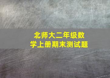 北师大二年级数学上册期末测试题