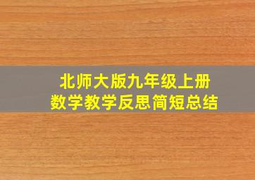 北师大版九年级上册数学教学反思简短总结