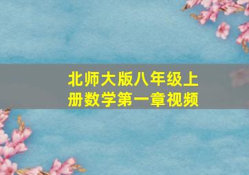 北师大版八年级上册数学第一章视频