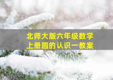 北师大版六年级数学上册圆的认识一教案