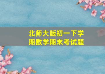 北师大版初一下学期数学期末考试题