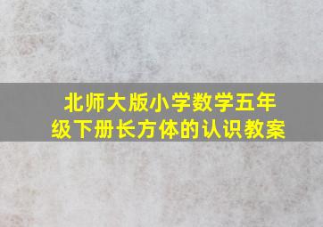 北师大版小学数学五年级下册长方体的认识教案