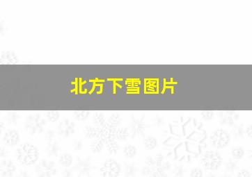 北方下雪图片