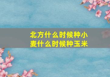 北方什么时候种小麦什么时候种玉米